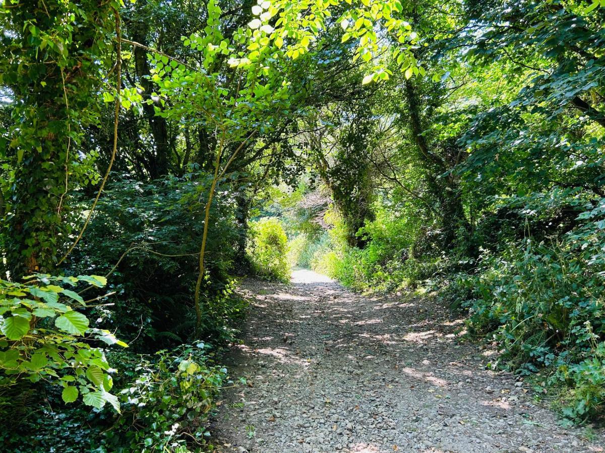 Kinetic Stays - Serenity Holiday Cottages Sidmouth Kültér fotó