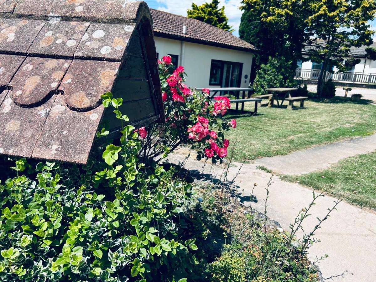 Kinetic Stays - Serenity Holiday Cottages Sidmouth Kültér fotó